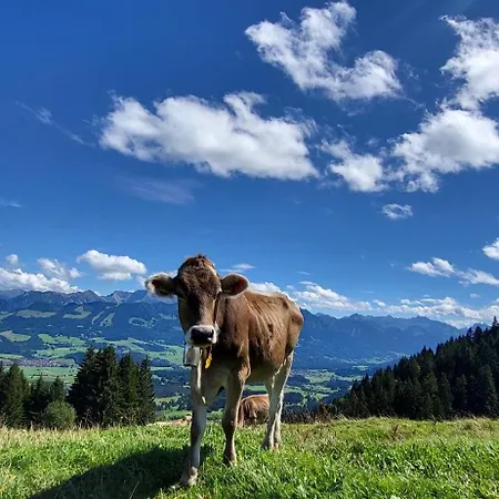 Allgaeuliebe Mit Wlan Steibis * Oberstaufen